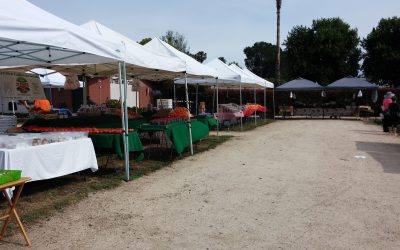 Access Local: South Sac Farmers Market Offers Fresh, Local, and Affordable Produce