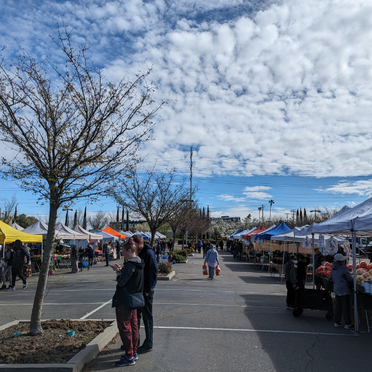 Two rows of farmers market canopy tents with customers walking between them and the light rail train climbing the hill in the background in front of a cloudy blue sky.